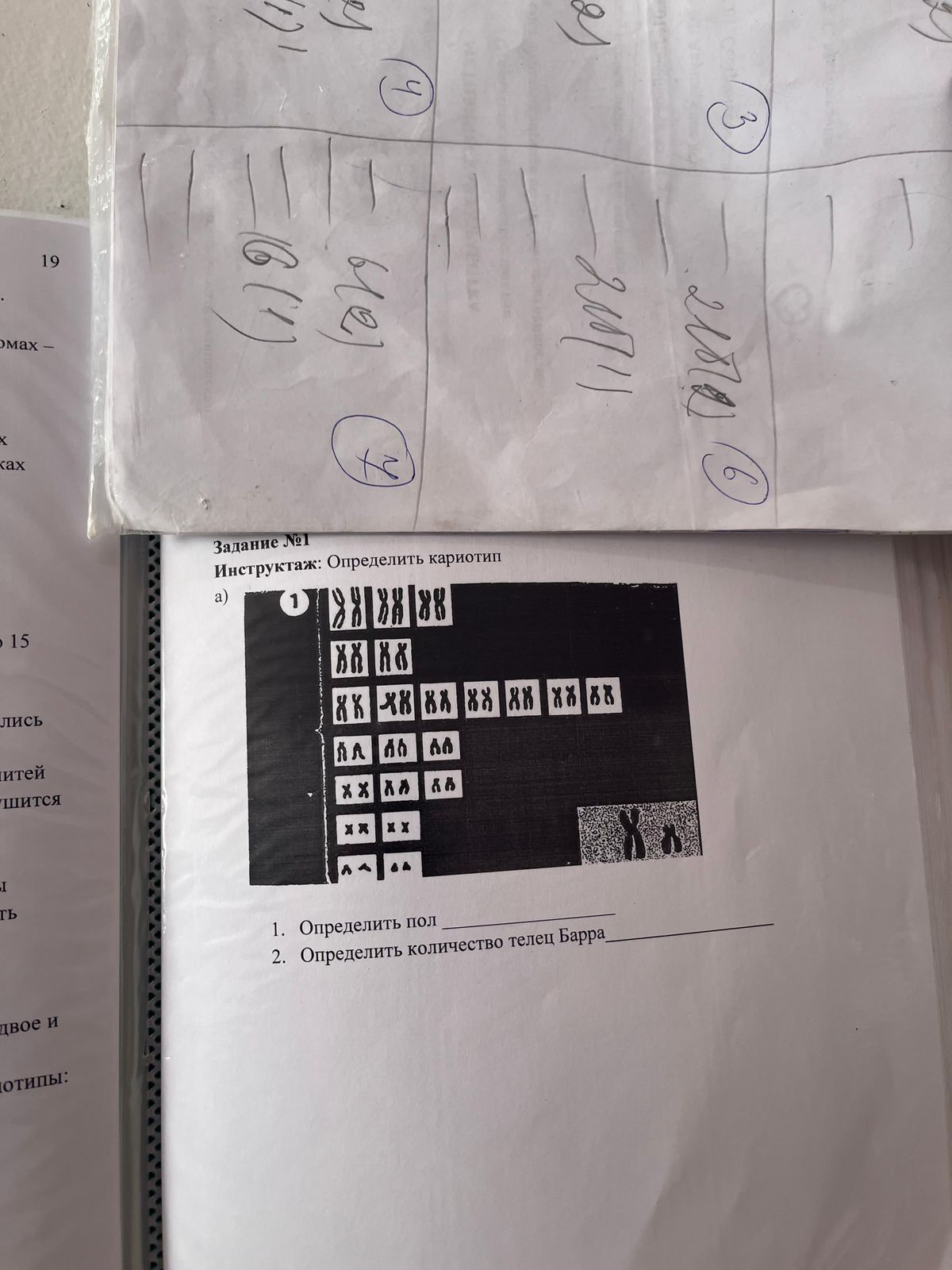Нужно помочь решить задачу